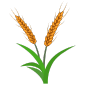 rice_icon_24